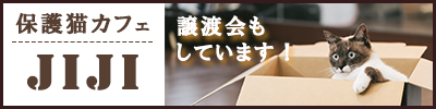 譲渡会をしている保護猫カフェJIJI