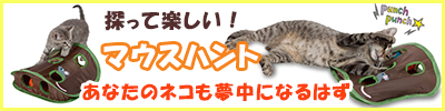 ネコも夢中になるおもちゃマウスハント