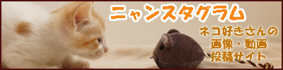 ネコの画像・動画投稿サイト ニャンスタグラム