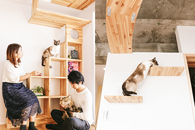 キャットタワーやキャットステップなど内装の写真