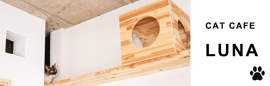 CAT CAFE-LUNA-