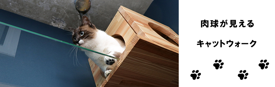 キャットウォークを歩いている猫""