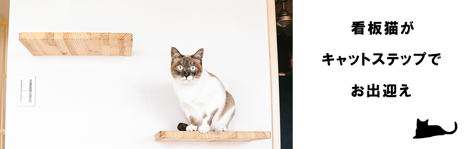 キャットウォークでお出迎えしている猫
